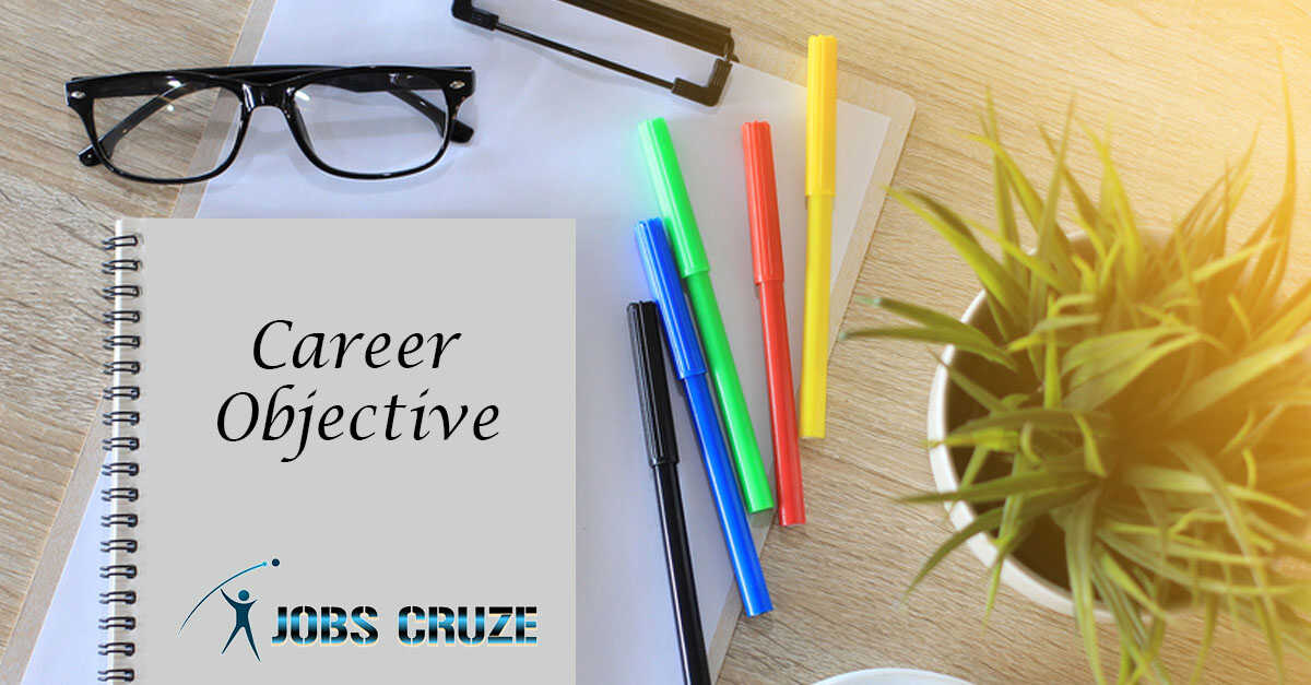 Career Objective for Admin Resume  Summary Skills Goals